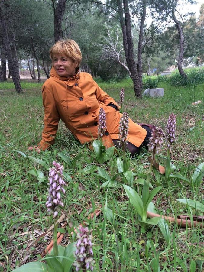 شقة Orchidea Mattinata Parco Del Gargano المظهر الخارجي الصورة