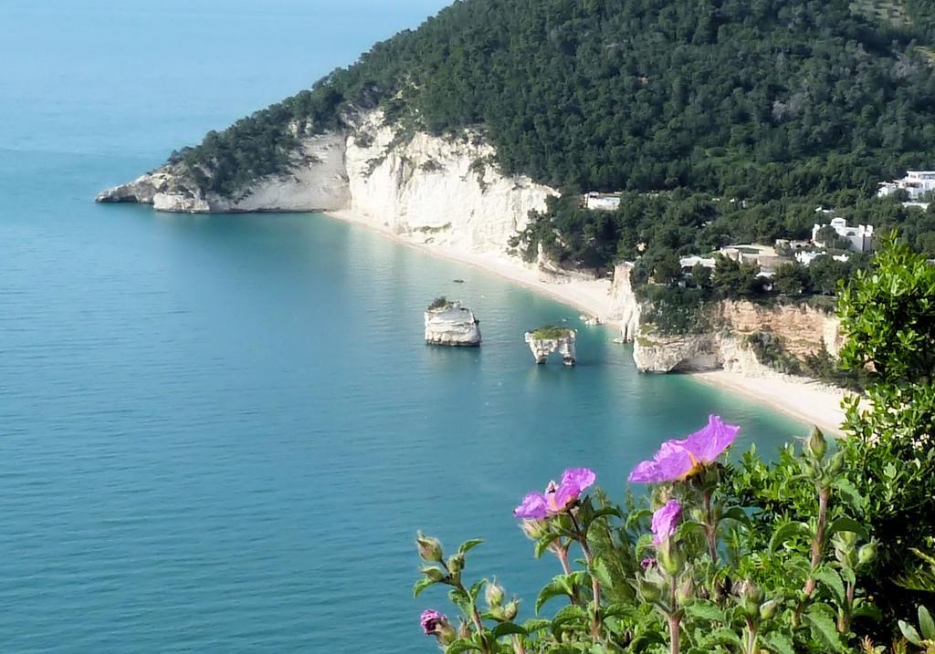 شقة Orchidea Mattinata Parco Del Gargano المظهر الخارجي الصورة