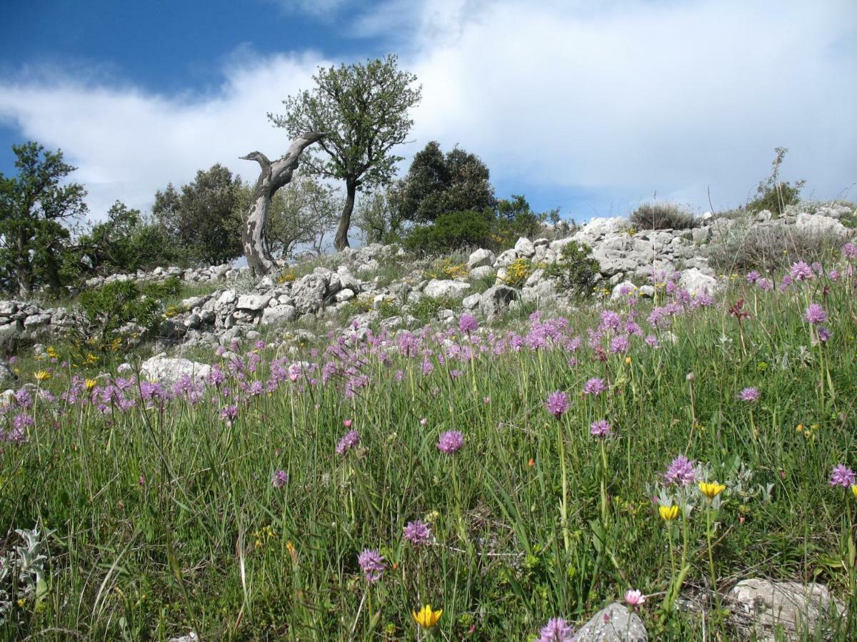 شقة Orchidea Mattinata Parco Del Gargano المظهر الخارجي الصورة
