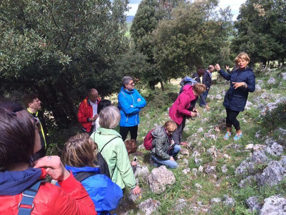 شقة Orchidea Mattinata Parco Del Gargano المظهر الخارجي الصورة